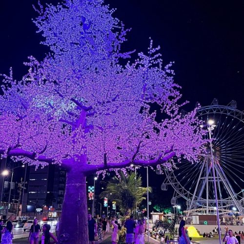 Iluminação de Natal no Parque Massay-ó-k encanta maceioenses e turistas